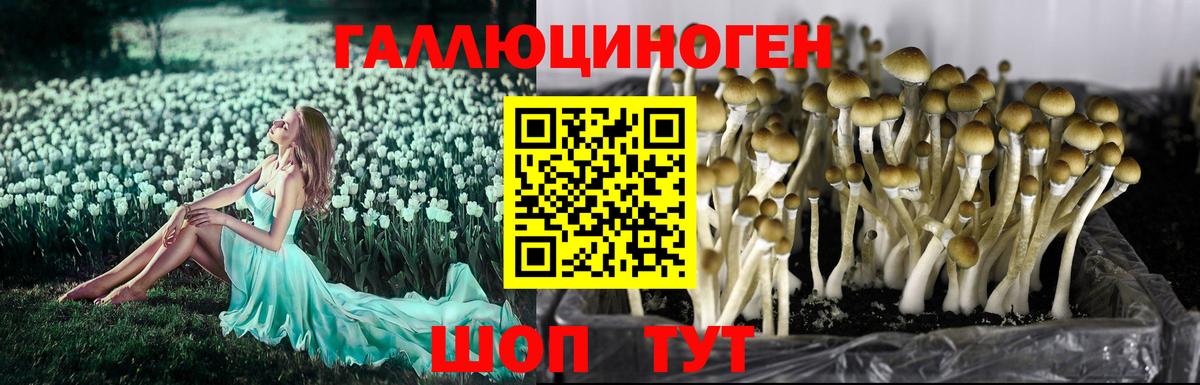 Псилоцибиновые грибы MAGIC MUSHROOMS  Вход с VPN  Уссурийск 